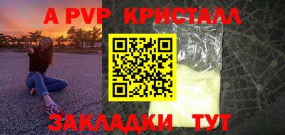 индика Пенза