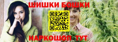 индика Пенза