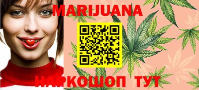 индика Пенза