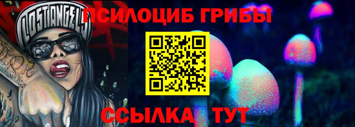 Псилоцибиновые грибы Psilocybine cubensis Полысаево
